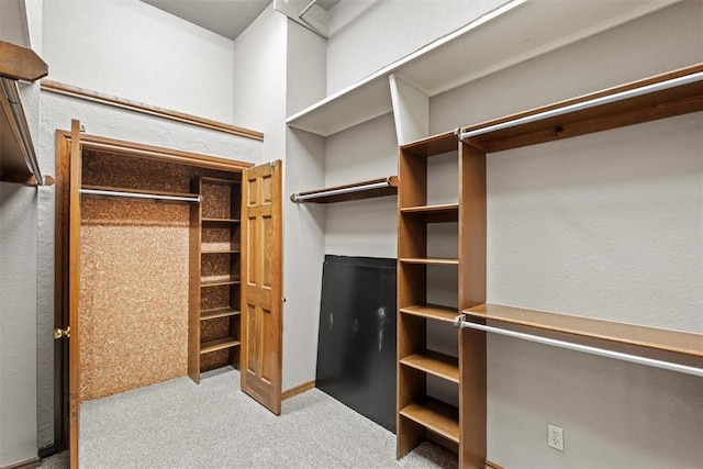 walk in closet with carpet flooring