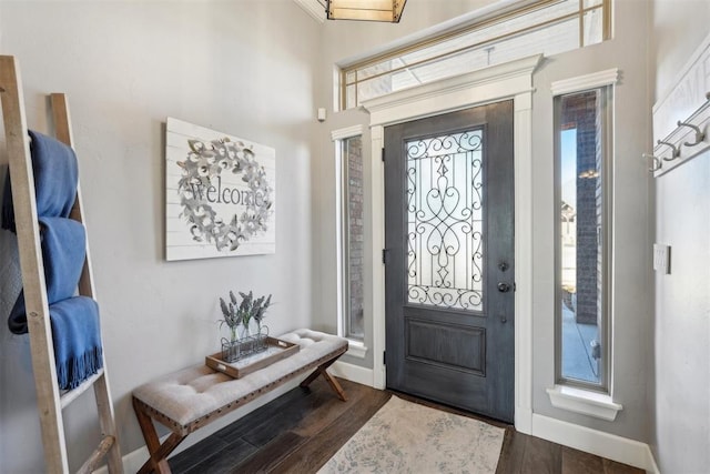 foyer entrance featuring baseboards and dark wood-type flooring