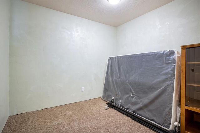 carpeted empty room with a textured ceiling