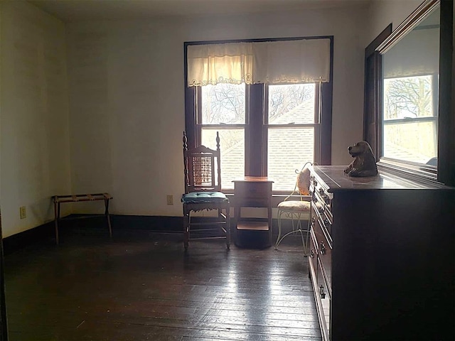 interior space featuring dark wood-style flooring and a healthy amount of sunlight