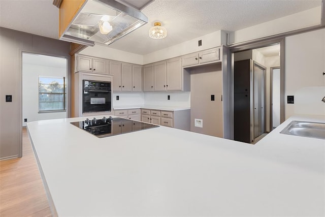 kitchen featuring under cabinet range hood, a peninsula, a sink, black appliances, and light wood finished floors