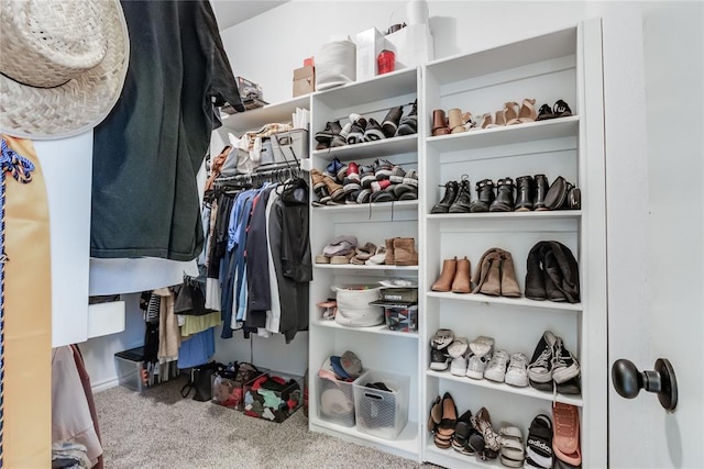 walk in closet with carpet floors