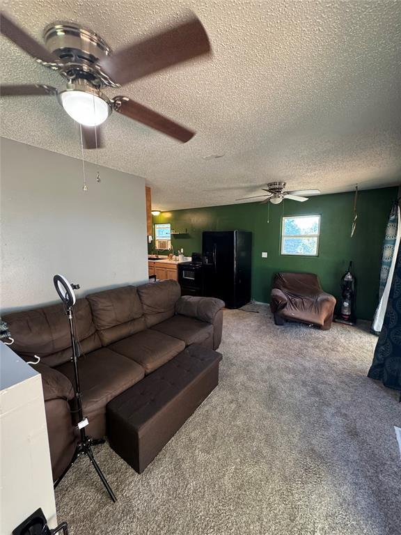 living area featuring carpet, ceiling fan, and a textured ceiling