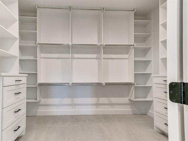 spacious closet featuring light colored carpet