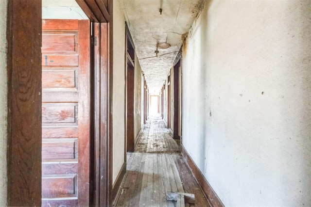 hall featuring hardwood / wood-style floors