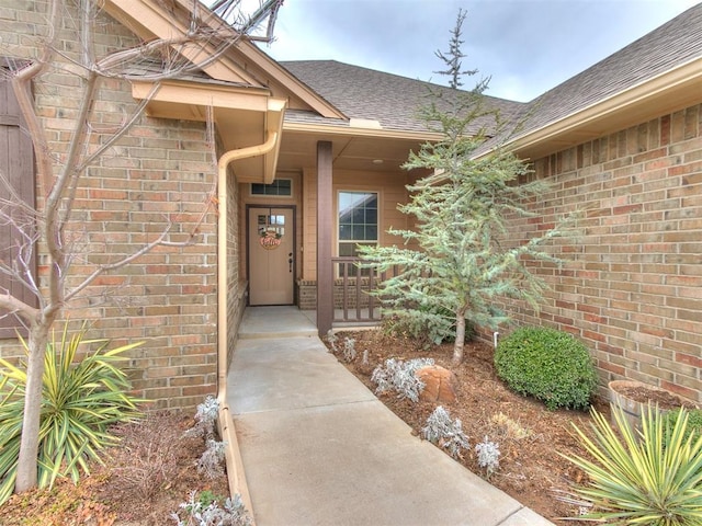 entrance to property featuring a shingled roof, brick siding, and a porch