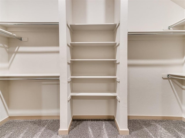 spacious closet featuring carpet floors