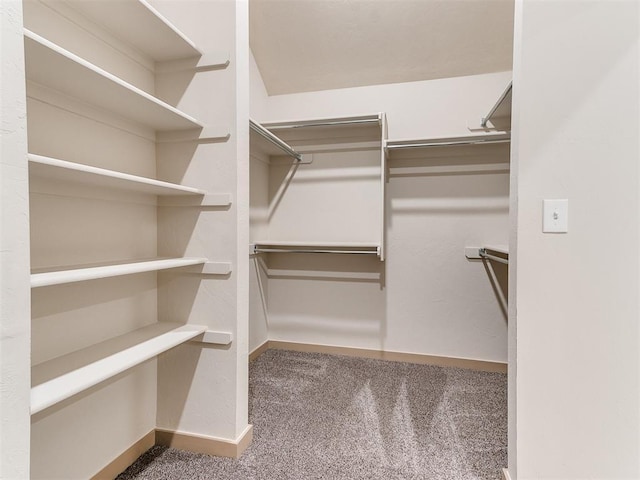 walk in closet featuring carpet