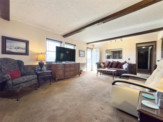 living area featuring beam ceiling, a wainscoted wall, light colored carpet, and a textured ceiling