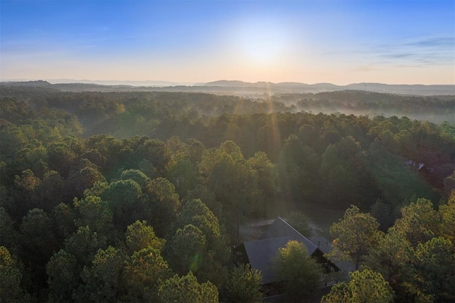 aerial view at dusk featuring a forest view