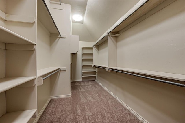 walk in closet featuring lofted ceiling and carpet flooring