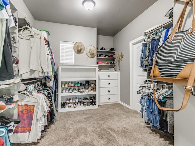 walk in closet featuring carpet floors