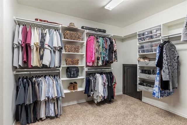 walk in closet with carpet flooring