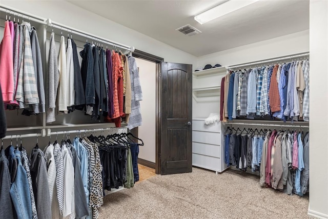 spacious closet featuring visible vents and carpet flooring