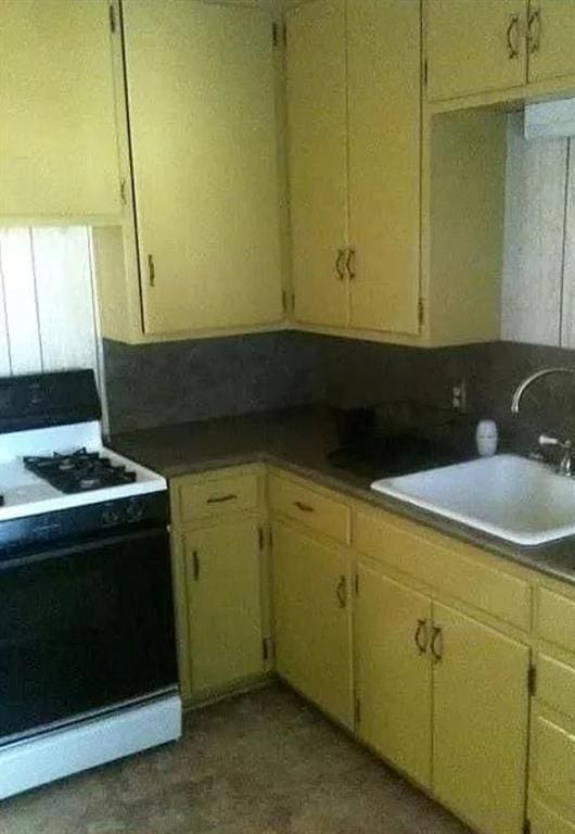 kitchen featuring a sink and white gas stove