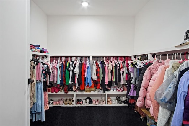 view of spacious closet