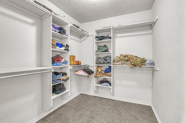 walk in closet with carpet flooring