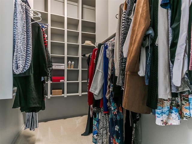 walk in closet featuring carpet flooring