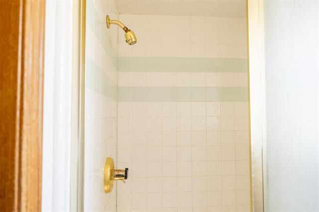 room details with a tile shower