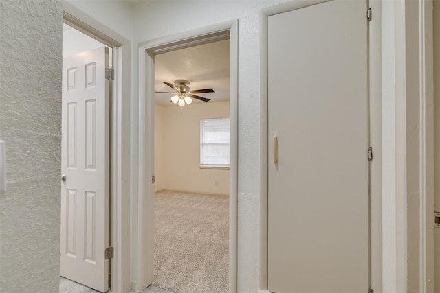 hallway featuring carpet and a textured wall