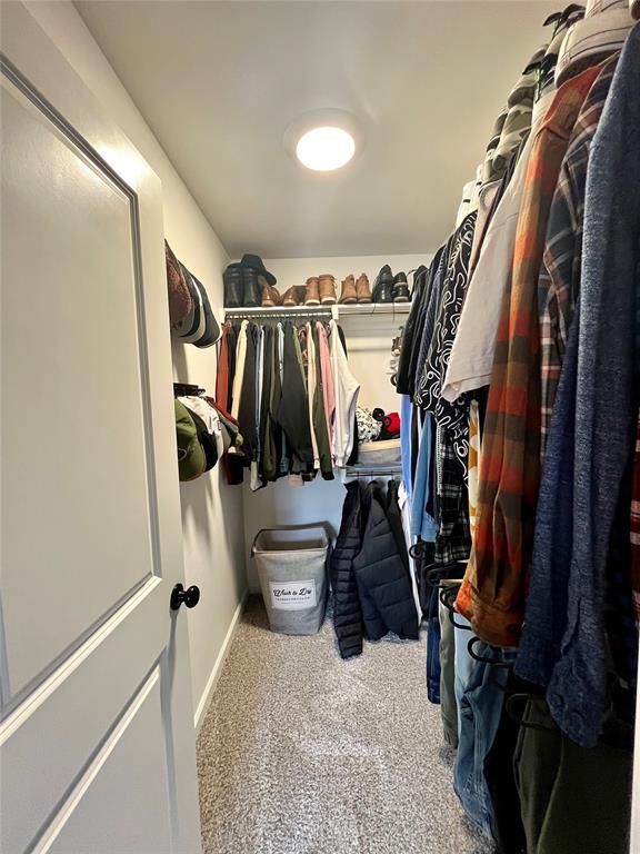 spacious closet with carpet floors