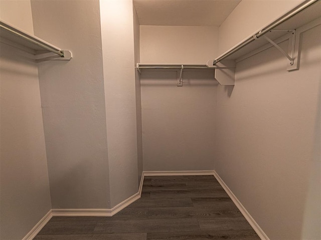 walk in closet featuring dark wood-style floors