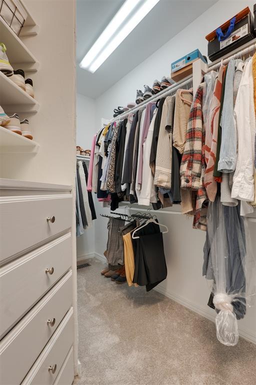 spacious closet with carpet floors