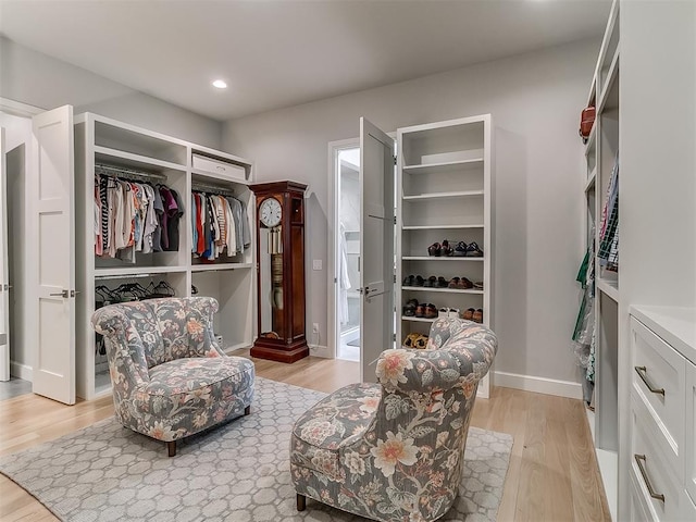 walk in closet with light wood-type flooring