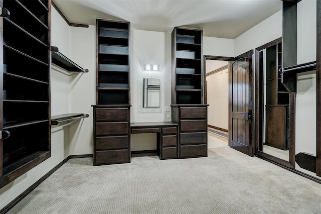 spacious closet featuring carpet floors