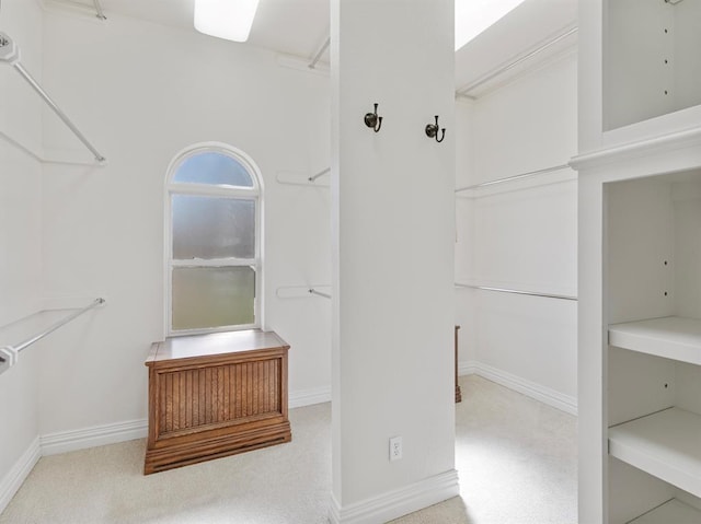 spacious closet featuring carpet