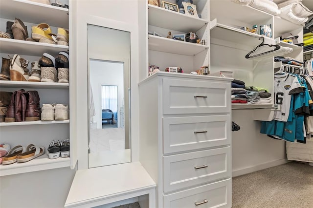 view of spacious closet