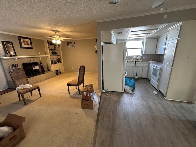 living room featuring ornamental molding, a fireplace with raised hearth, a textured ceiling, and wood finished floors