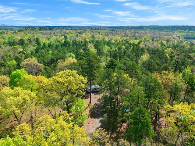 387 N Riverbend Rd, Smithville, OK 74957 - drone / aerial view featuring a view of trees