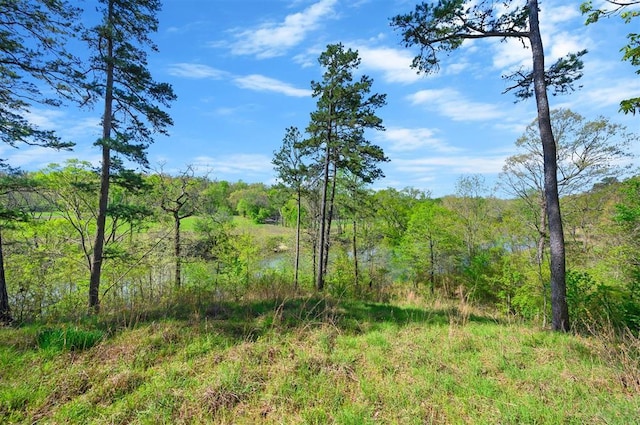 387 N Riverbend Rd, Smithville, OK 74957 - view of nature featuring a view of trees