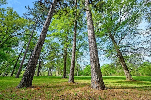 387 N Riverbend Rd, Smithville, OK 74957 - view of yard