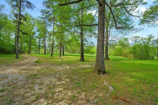 387 N Riverbend Rd, Smithville, OK 74957 - view of yard