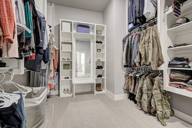 spacious closet featuring carpet floors