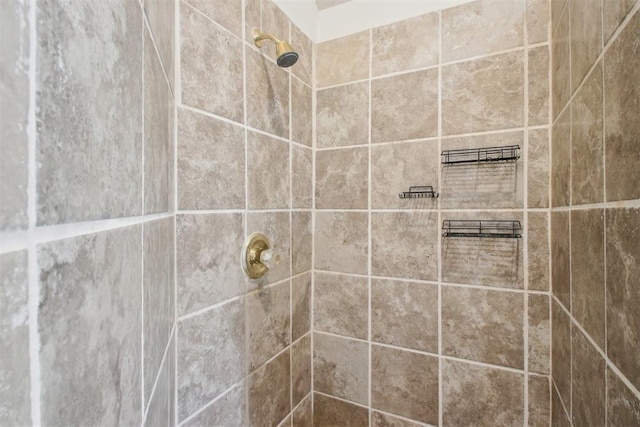 interior details with tiled shower