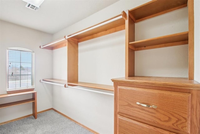 spacious closet featuring visible vents and light colored carpet