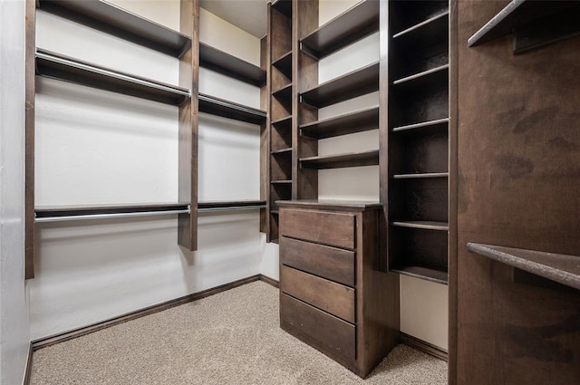 walk in closet featuring carpet flooring