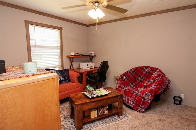 interior space featuring ceiling fan, carpet floors, and crown molding