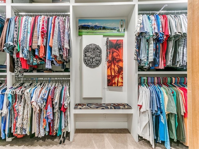 spacious closet featuring carpet flooring