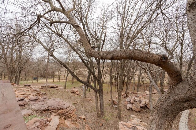 view of local wilderness