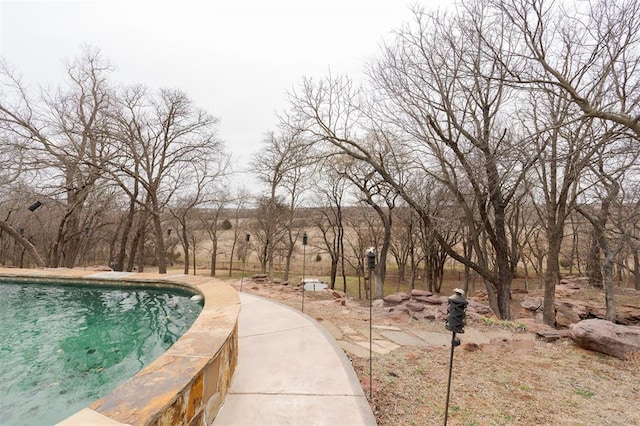 view of pool featuring a swimming pool