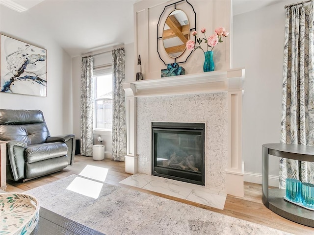 living area featuring wood finished floors and a high end fireplace