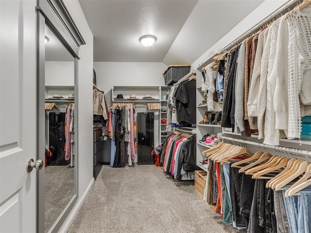 spacious closet with carpet