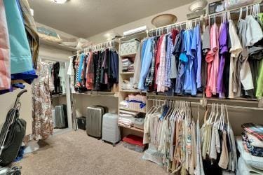 spacious closet with carpet flooring