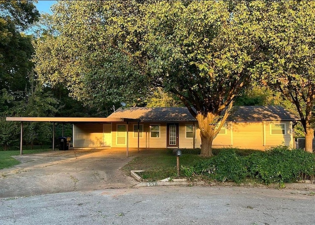 single story home with a carport and concrete driveway