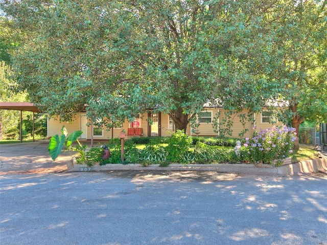 view of property hidden behind natural elements featuring an attached carport and driveway