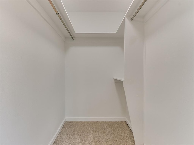 walk in closet featuring carpet flooring